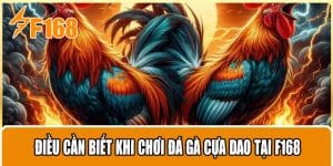 Điều Cần Biết Khi Chơi Đá Gà Cựa Dao Tại F168